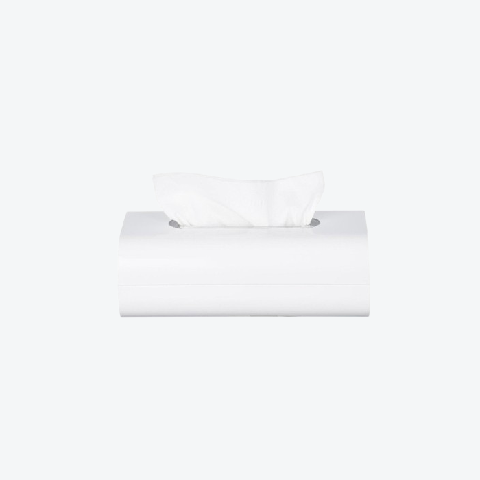 Papírové ubrousky v krabičce 2 vrstvé 100 ks